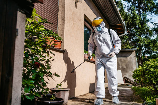 Best Affordable Pest Control Services  in Fort Lee, VA