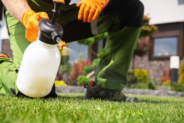 Best Pest Removal Services  in Fort Lee, VA