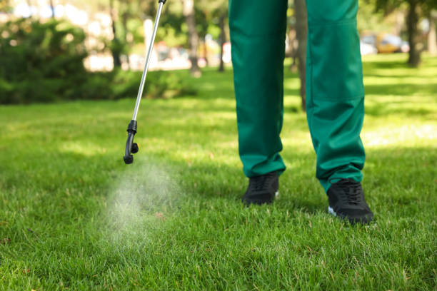 Best Pest Control for Restaurants  in Fort Lee, VA