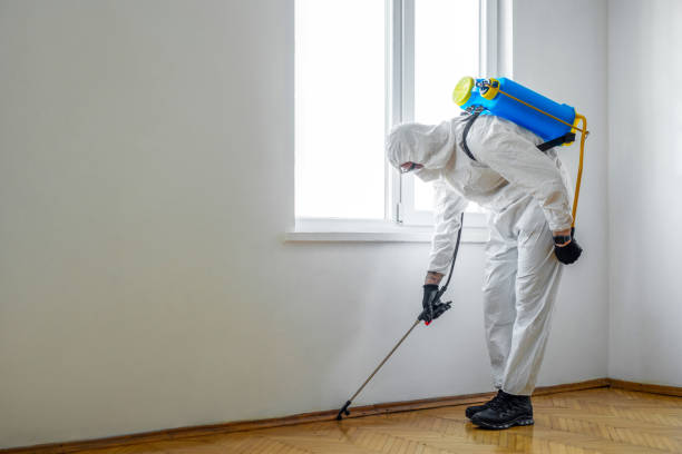 Best Mosquito Control Services  in Fort Lee, VA