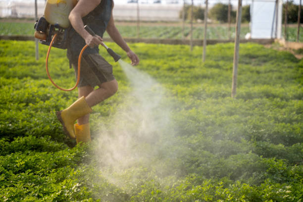 Best Ant Control Services  in Fort Lee, VA