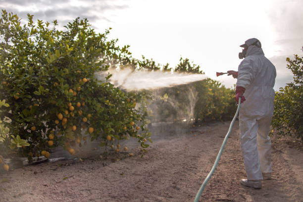 Best Mosquito Control Services  in Fort Lee, VA