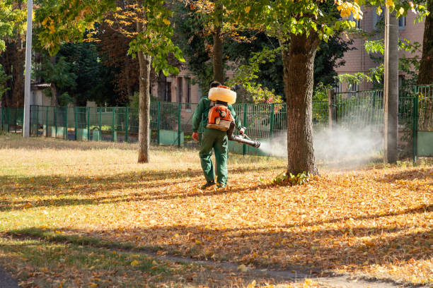 Best Insect Control  in Fort Lee, VA