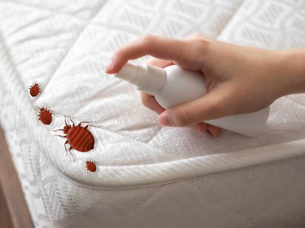 Best Best Pest Control Companies  in Fort Lee, VA