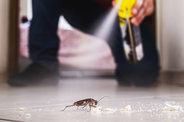 Best Local Pest Control Services  in Fort Lee, VA