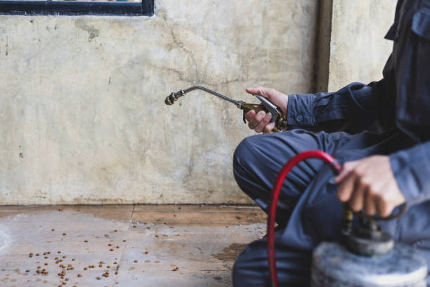 Best Affordable Pest Control Services  in Fort Lee, VA